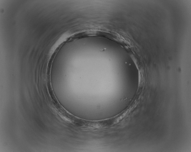 X0000067830195200604271603