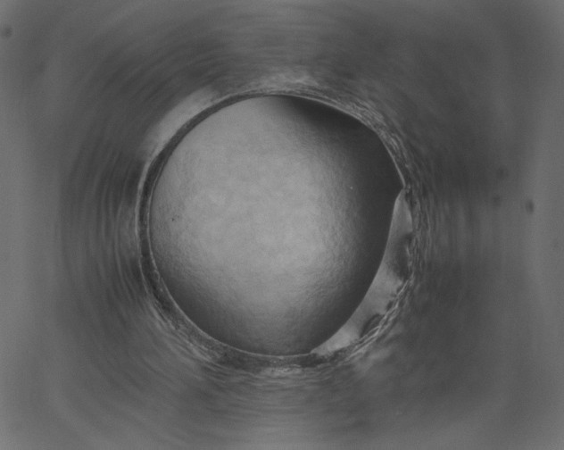 X0000067830196200604271603