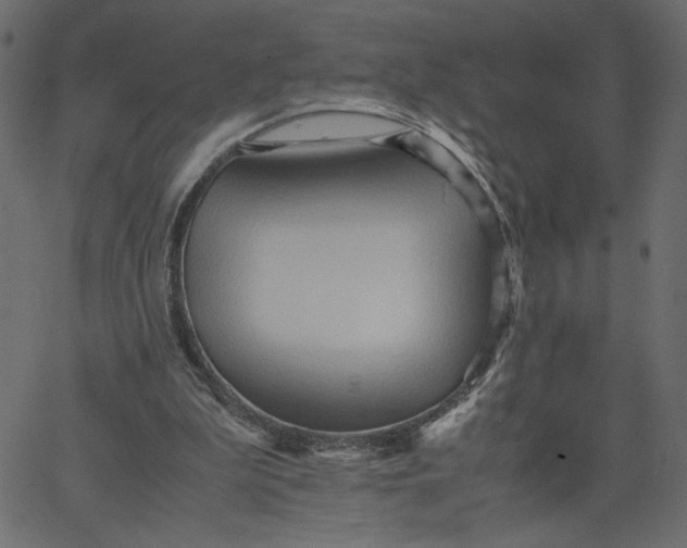 X0000067830199200604271603