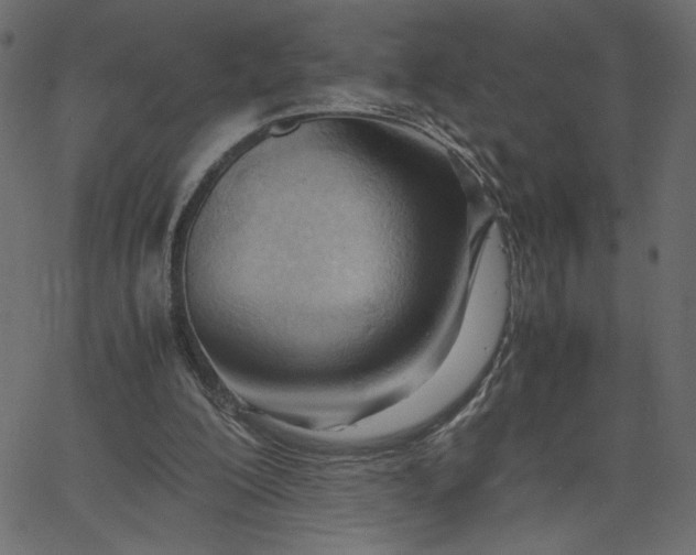 X0000067830200200604271603