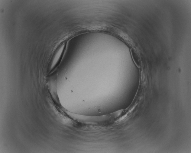 X0000067830201200604271603