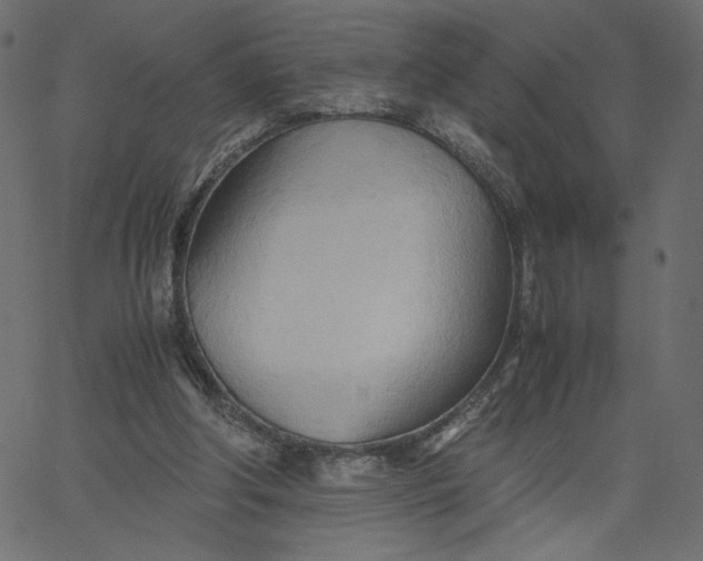 X0000067830202200604271603