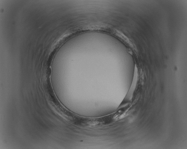 X0000067830203200604271603