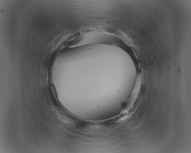 X0000067830205200604271603