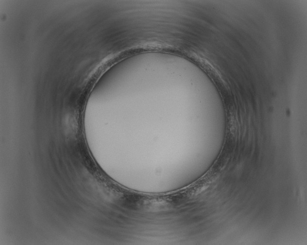 X0000067830208200604271603