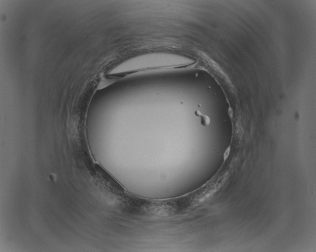 X0000067830209200604271603