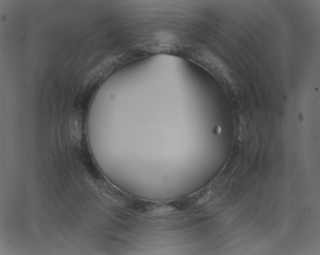 X0000067830210200604271603