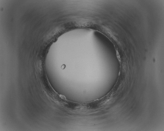 X0000067830211200604271603