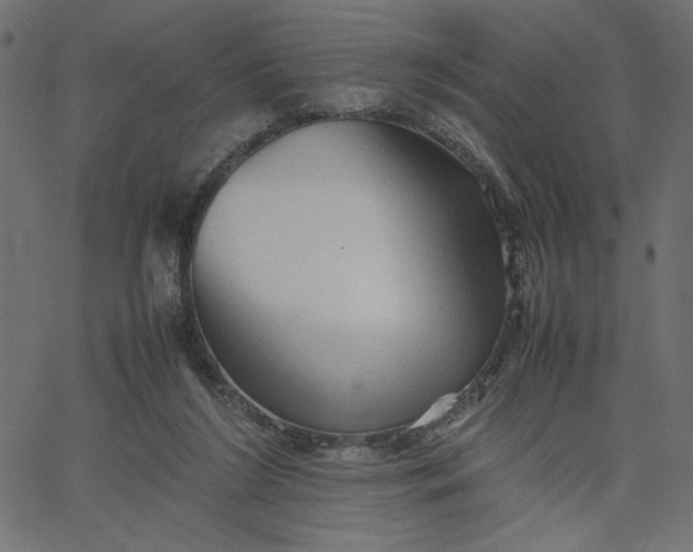 X0000067830212200604271603