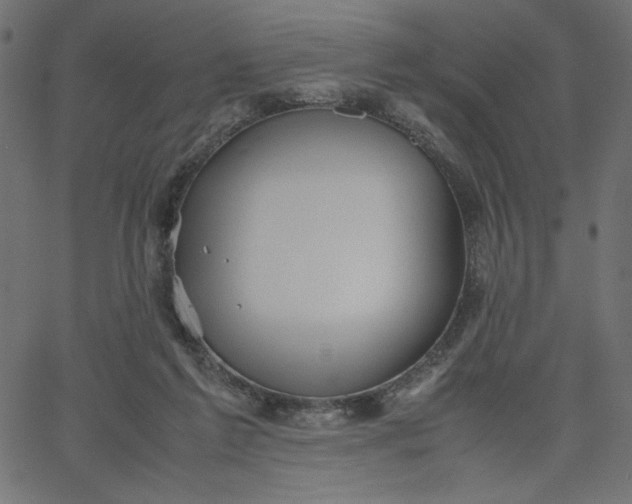 X0000067830213200604271603