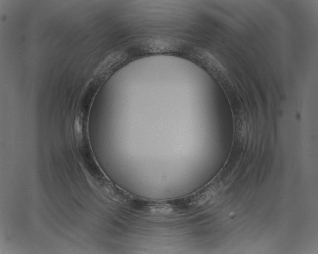 X0000067830214200604271603