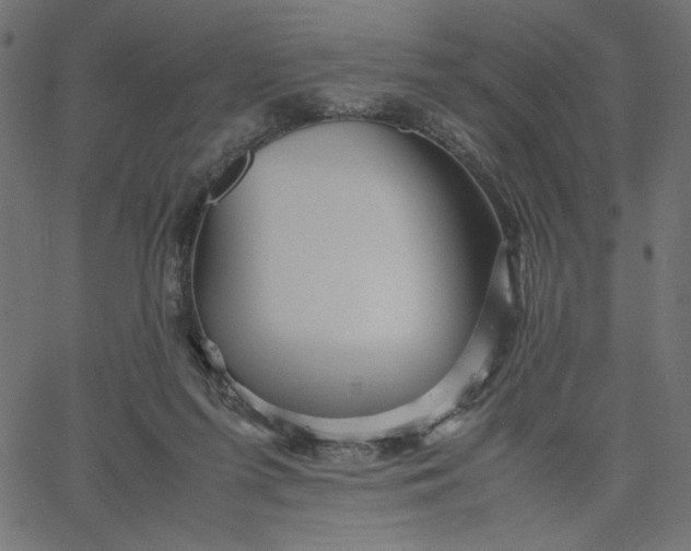 X0000067830215200604271603