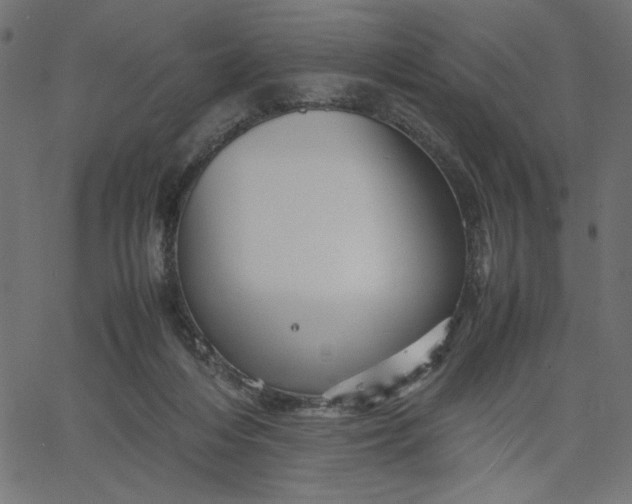 X0000067830216200604271602