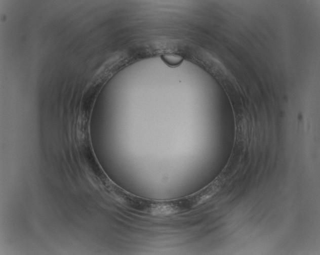 X0000067830218200604271602