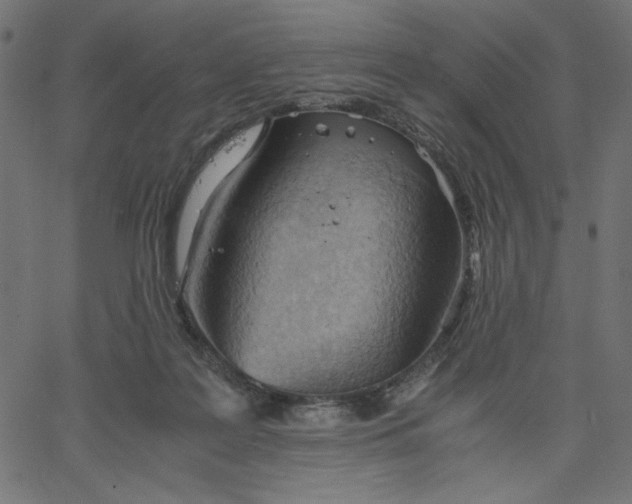 X0000067830219200604271602