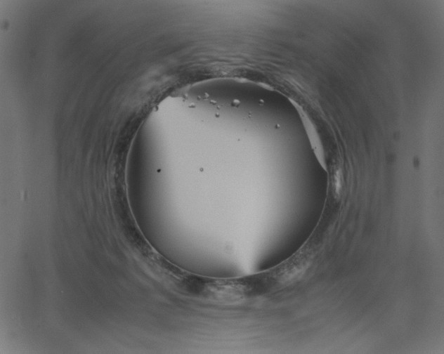 X0000067830221200604271602