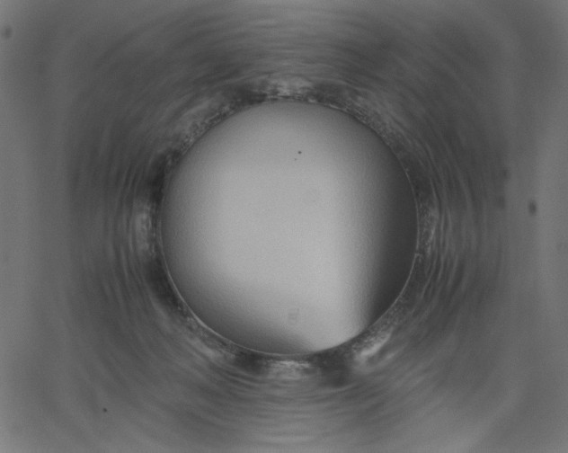 X0000067830222200604271602