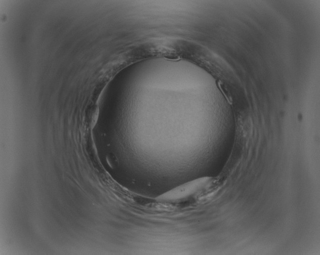 X0000067830223200604271602