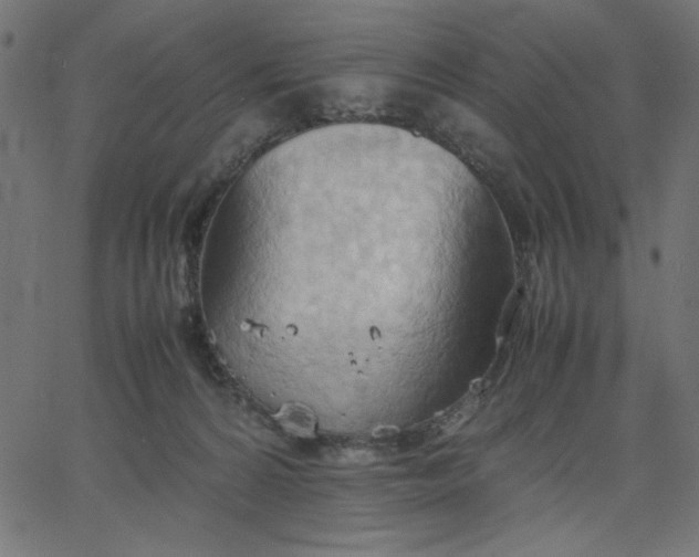 X0000067830224200604271602