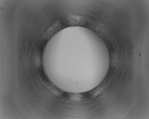 X0000067830226200604271602