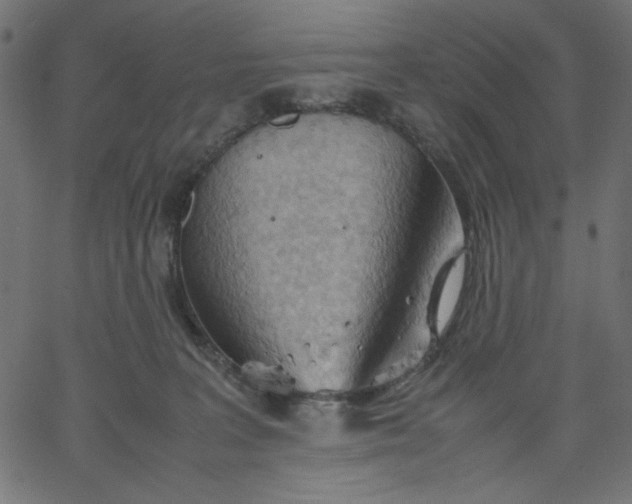 X0000067830227200604271602