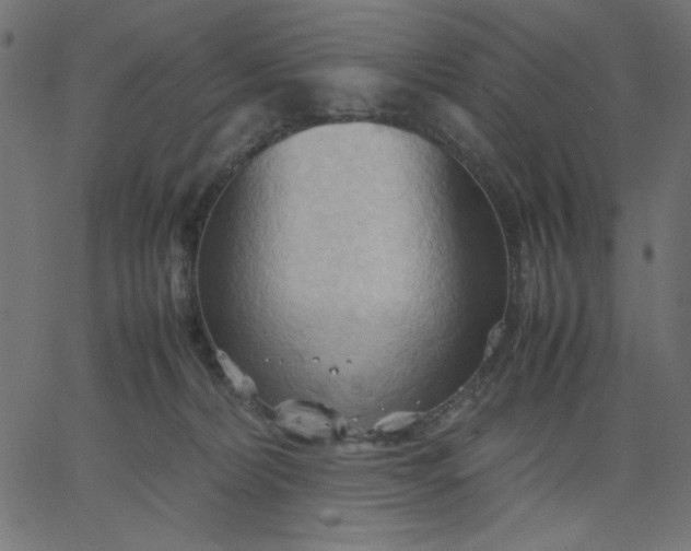 X0000067830228200604271602