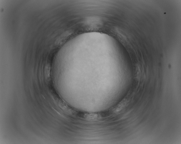 X0000067830230200604271602