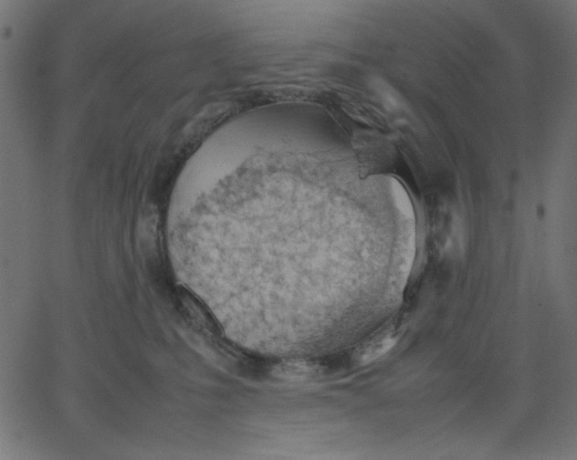 X0000067830231200604271602