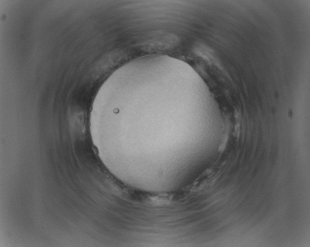 X0000067830232200604271602