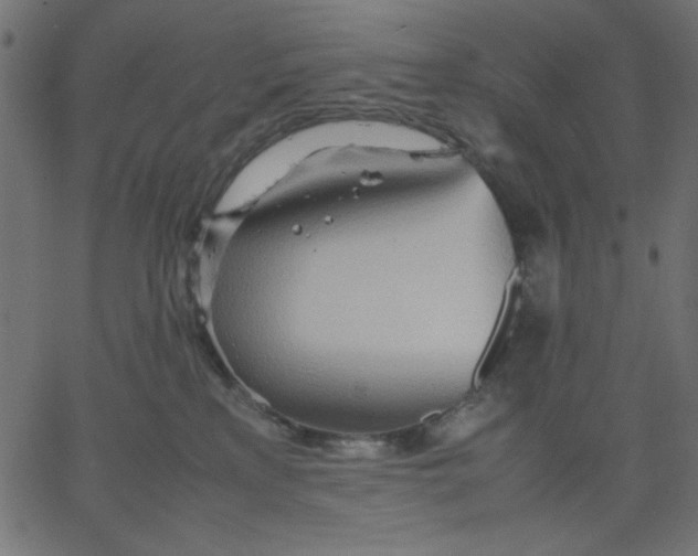 X0000067830233200604271602