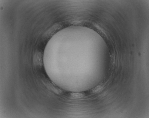 X0000067830234200604271602