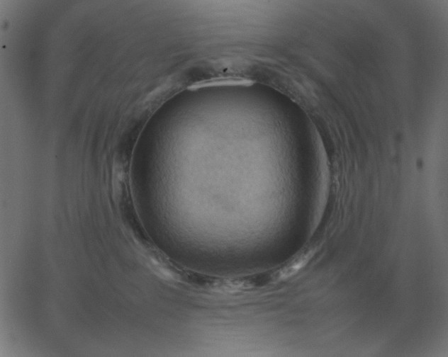 X0000067830235200604271602