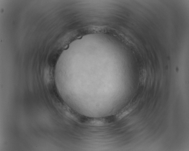 X0000067830236200604271602