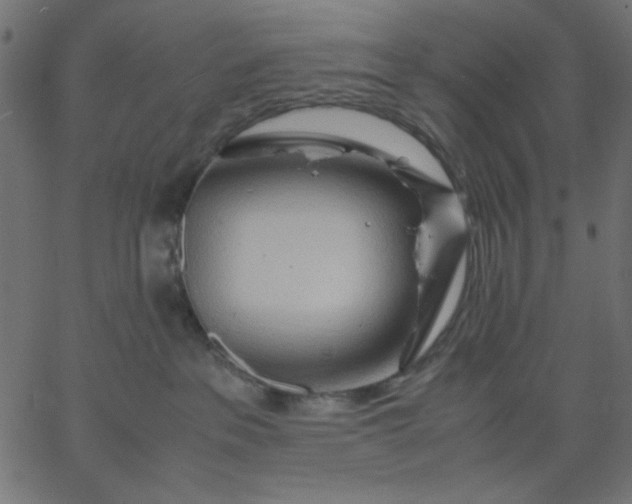 X0000067830237200604271602