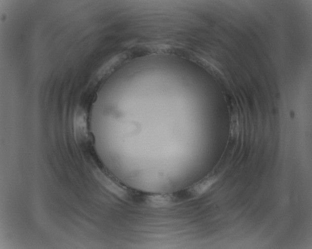 X0000067830238200604271602