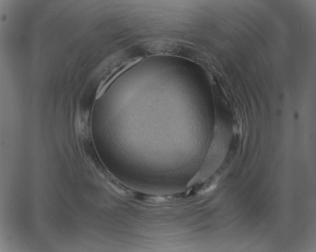 X0000067830239200604271602