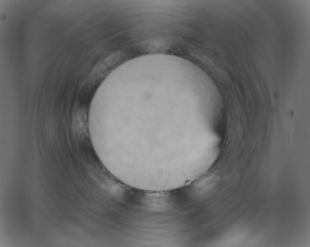 X0000067830240200604271602