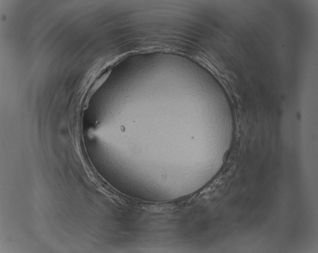 X0000067830241200604271601