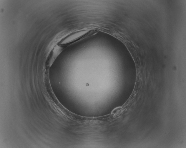 X0000067830242200604271601