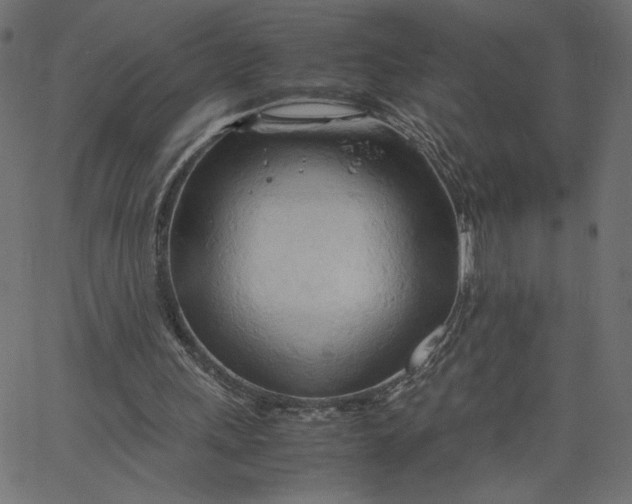 X0000067830243200604271601