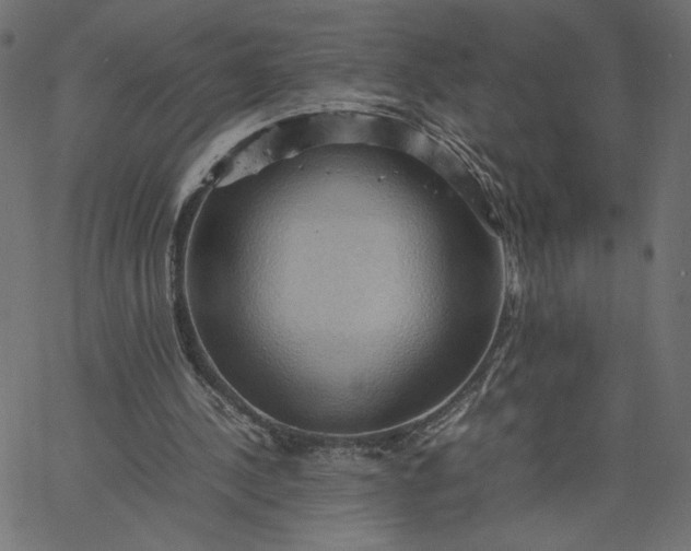 X0000067830244200604271601