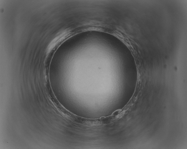 X0000067830245200604271601