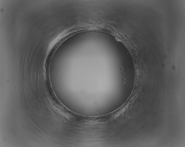 X0000067830246200604271601