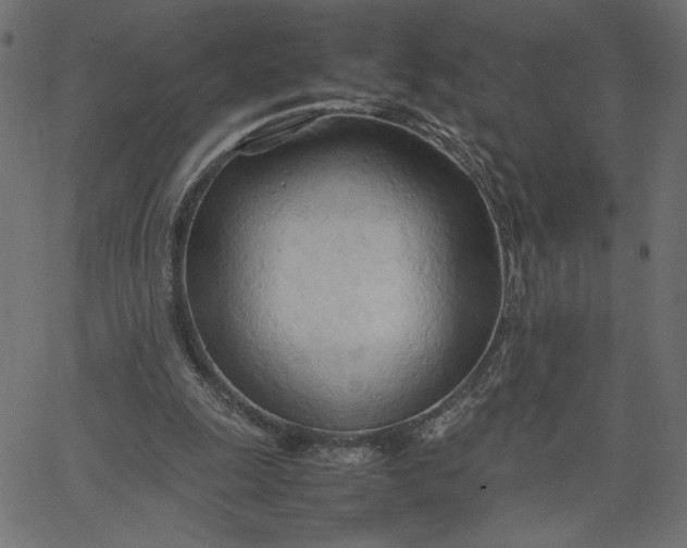 X0000067830247200604271601