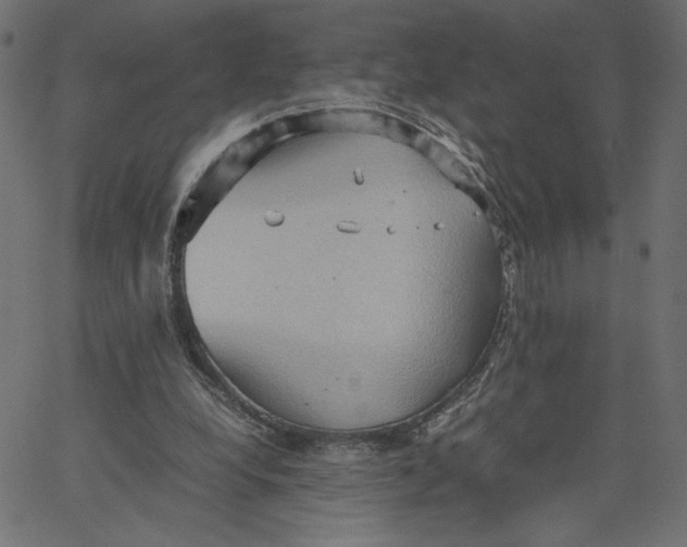 X0000067830248200604271601