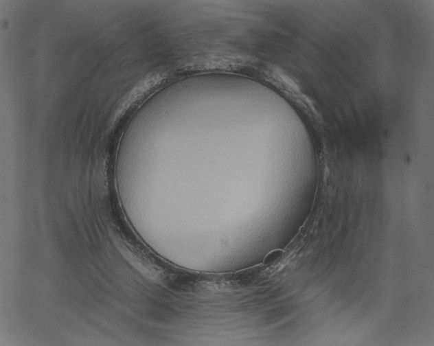 X0000067830250200604271601