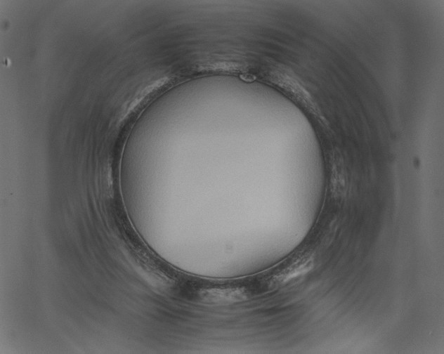 X0000067830251200604271601