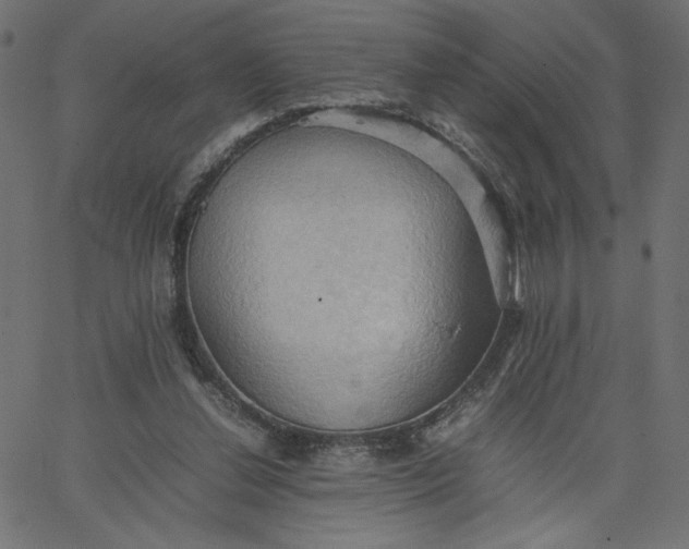 X0000067830252200604271601