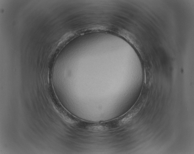 X0000067830253200604271602