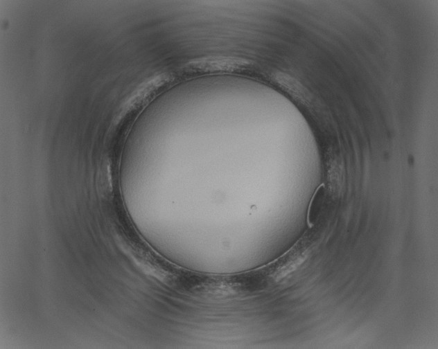 X0000067830254200604271602